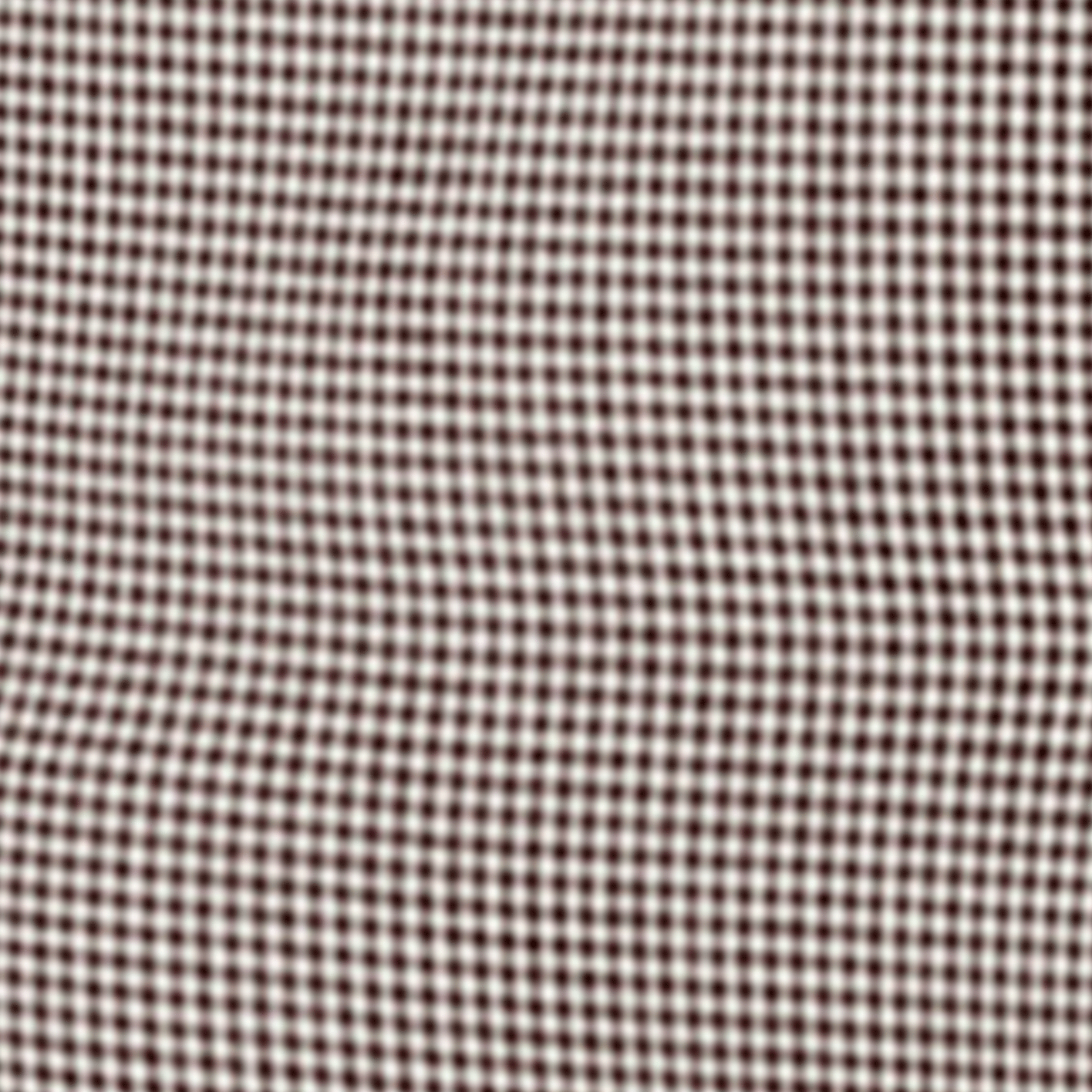 CHECKS WHITE BROWN