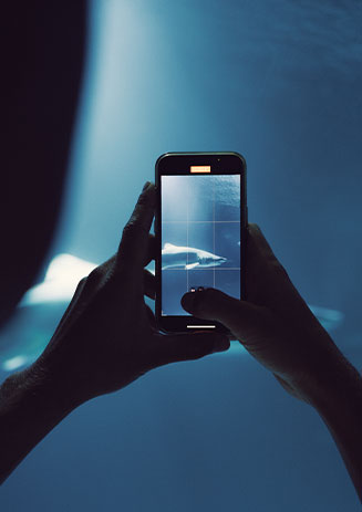 https://media-cdn.paulandshark.com/ecom/content/stories/shark_day/shark_day_gallery1_d10.jpg https://media-cdn.paulandshark.com/ecom/content/stories/shark_day/shark_day_gallery1_d10.jpg