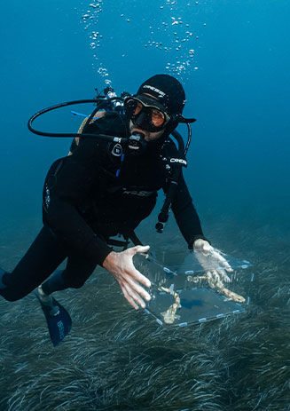 https://media-cdn.paulandshark.com/ecom/content/stories/shark_day/shark_day_gallery2_d9.jpg https://media-cdn.paulandshark.com/ecom/content/stories/shark_day/shark_day_gallery2_d9.jpg