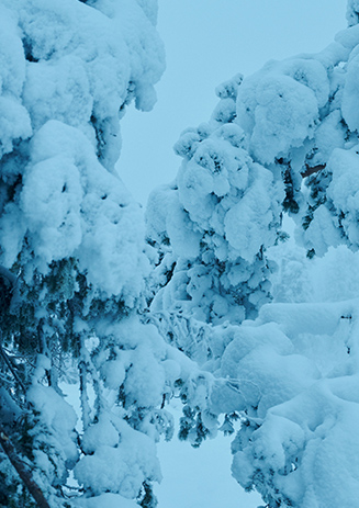 https://media-cdn.paulandshark.com/ecom/content/stories/winter_heroes/winter_heroes_10_d.jpg https://media-cdn.paulandshark.com/ecom/content/stories/winter_heroes/winter_heroes_10_d.jpg