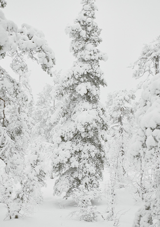 https://media-cdn.paulandshark.com/ecom/content/stories/winter_heroes/winter_heroes_3_d.jpg https://media-cdn.paulandshark.com/ecom/content/stories/winter_heroes/winter_heroes_3_d.jpg
