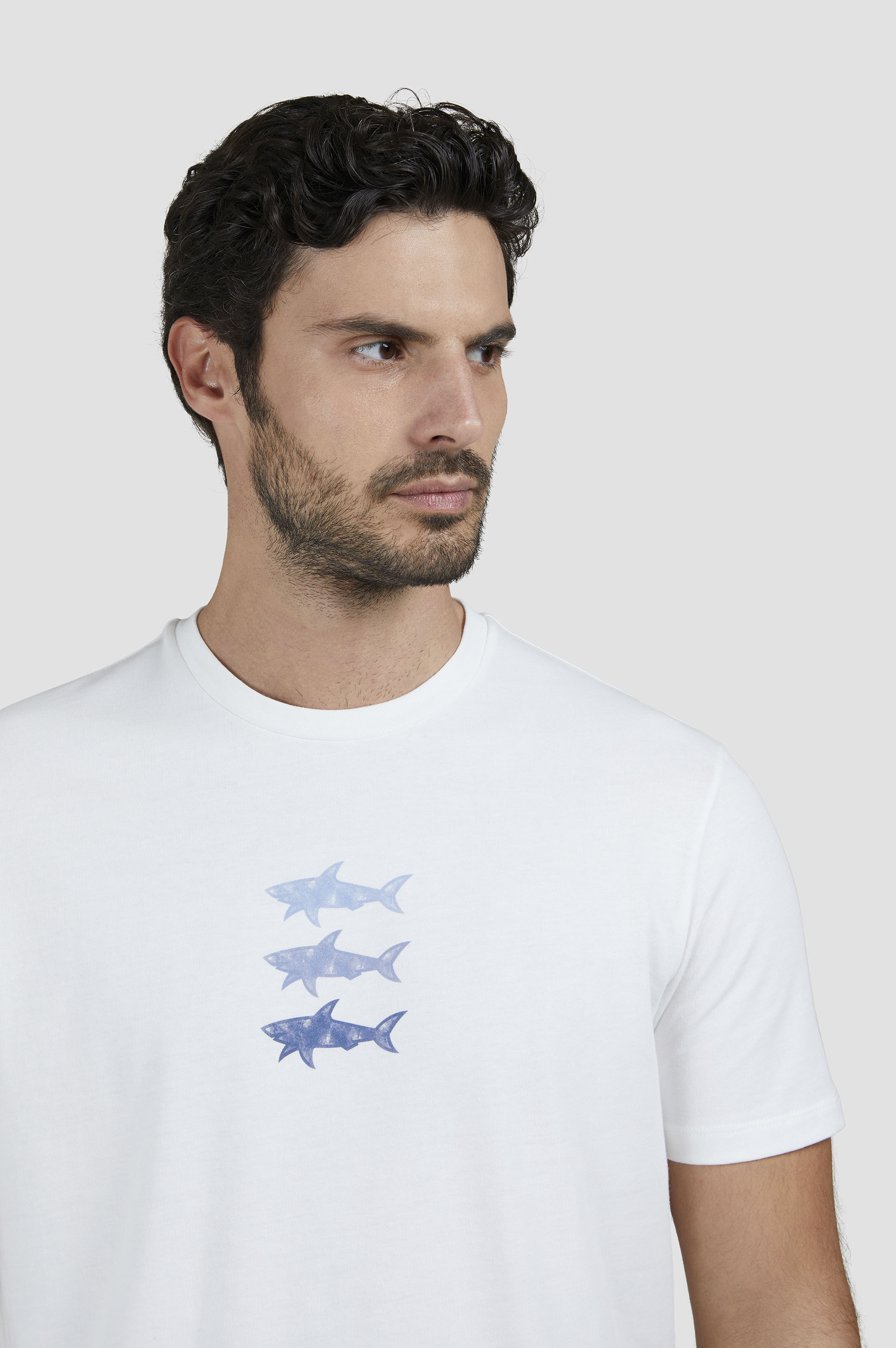 Tシャツ・カットソー PAUL & SHARK T-Shirt 29391553_58419831_600.jpg
