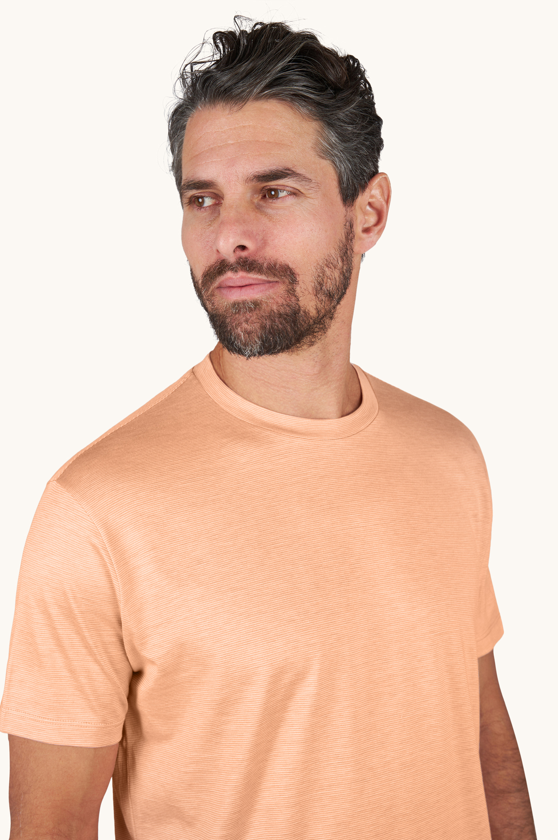 Silk and cotton T-Shirt with micro stripe pattern image number 5