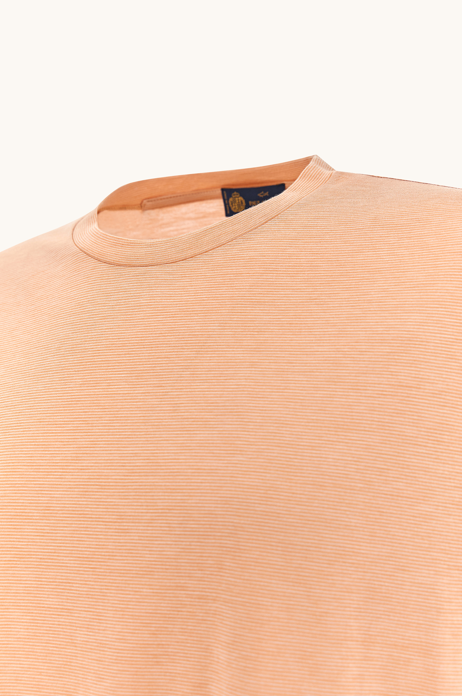 Silk and cotton T-Shirt with micro stripe pattern image number 6