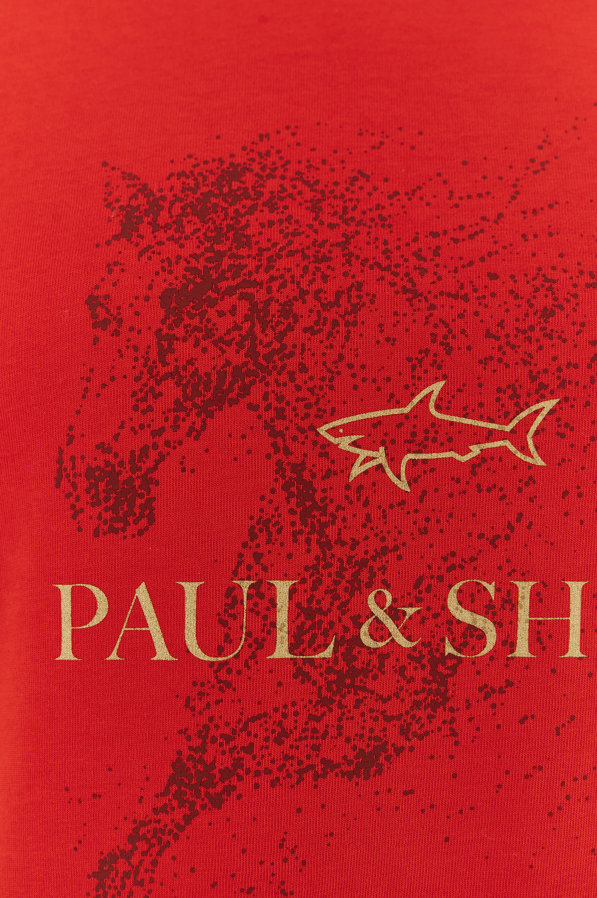 Cotton jersey T-shirt with Year of the Horse print image number 7