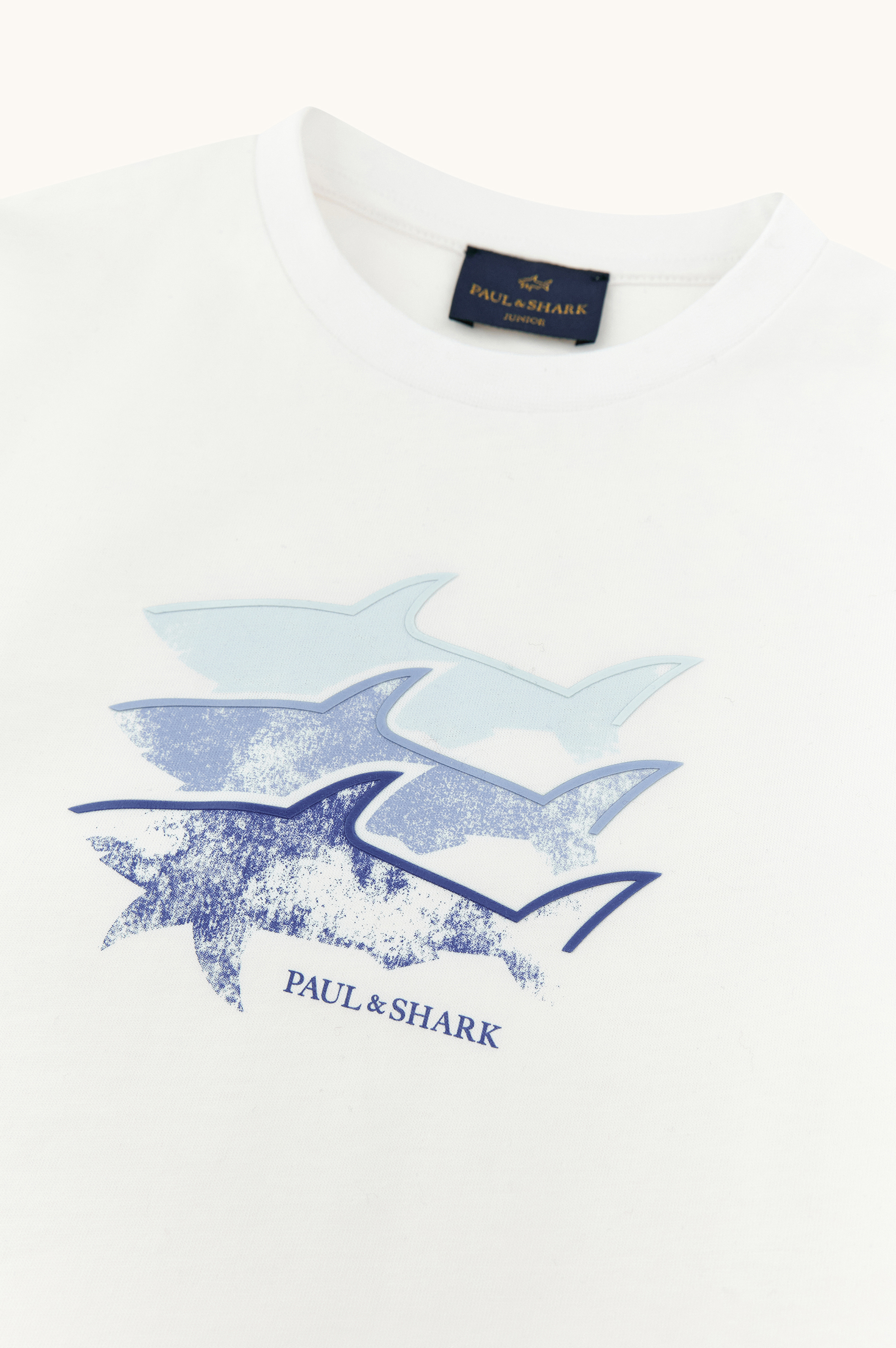 Cotton jersey T-shirt with Shark print image number 6