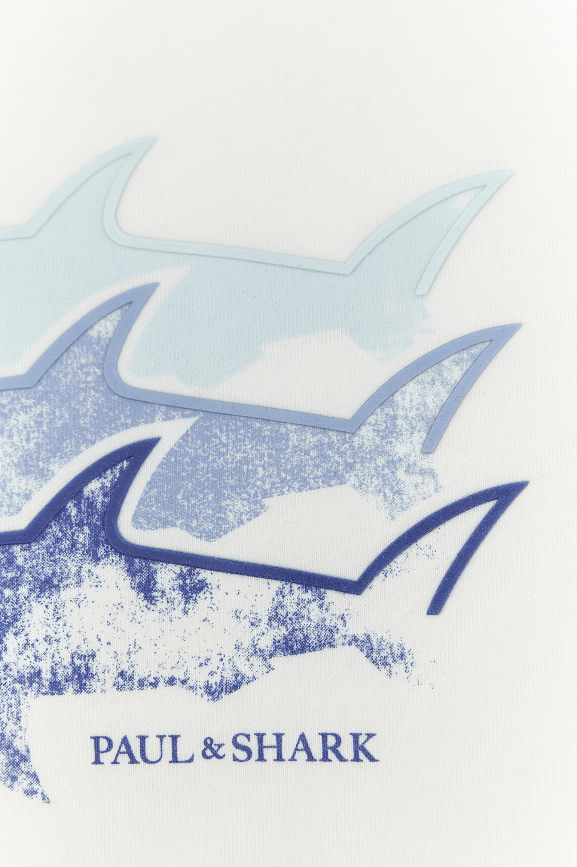 Cotton jersey T-shirt with Shark print image number 7