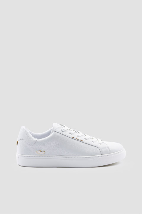 Shark Icon sneakers Shark Icon sneakers