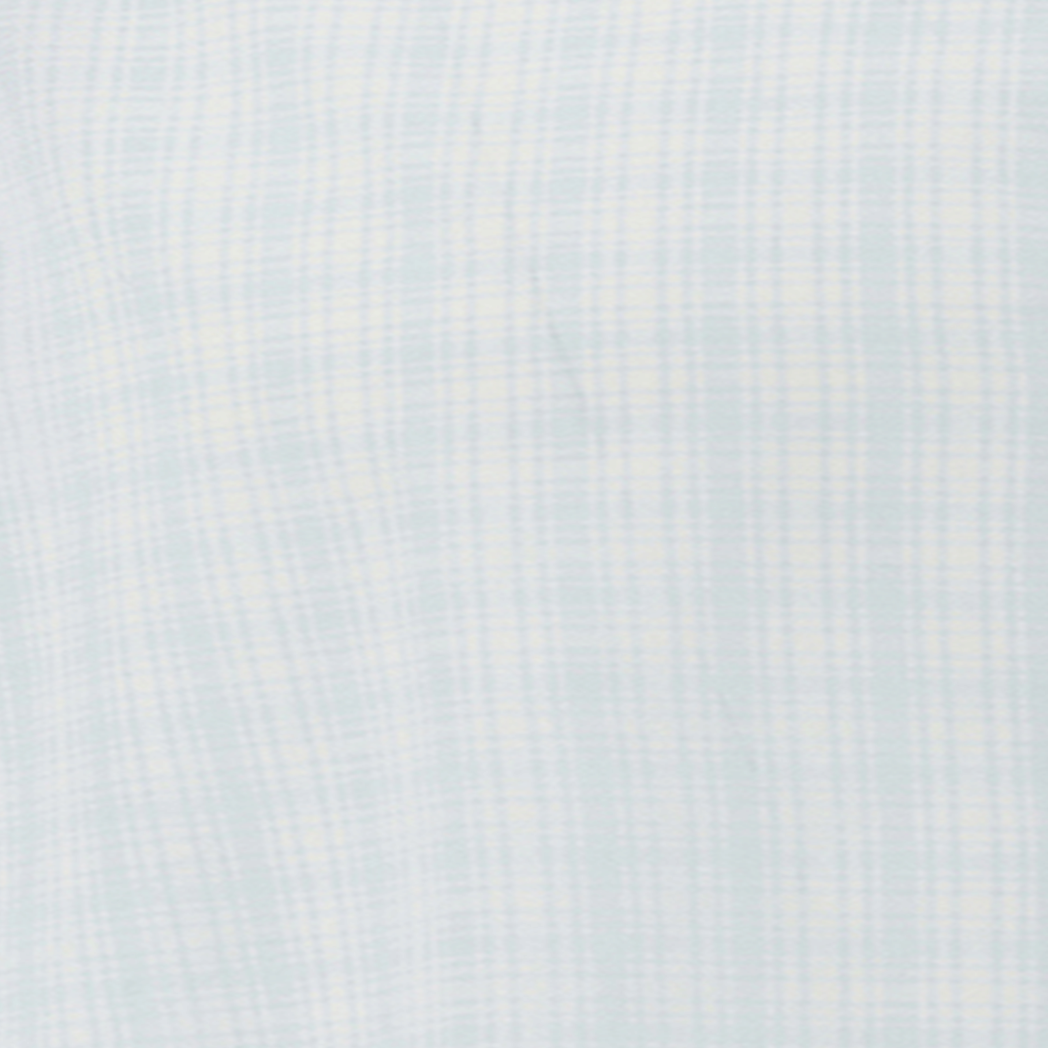 CHECKS WHITE LIGHT BLUE